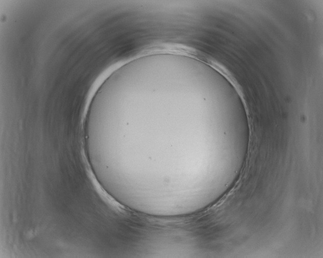 X0000062911152200601181213