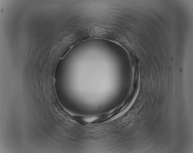 X0000062911153200601181212