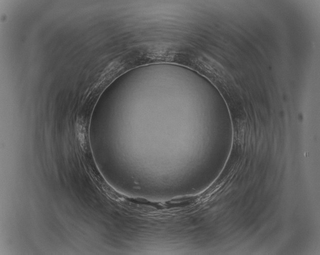 X0000062911154200601181212