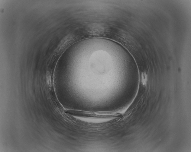 X0000062911155200601181212