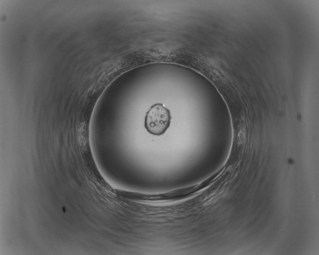 X0000062911156200601181212