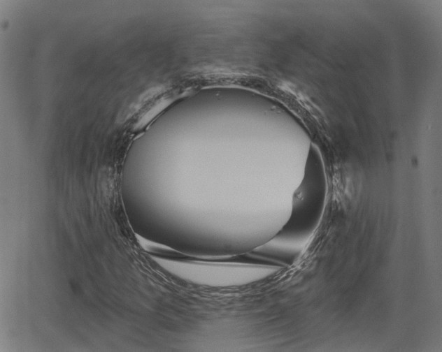 X0000062911157200601181212