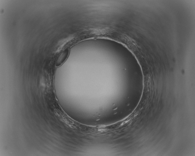 X0000062911158200601181212