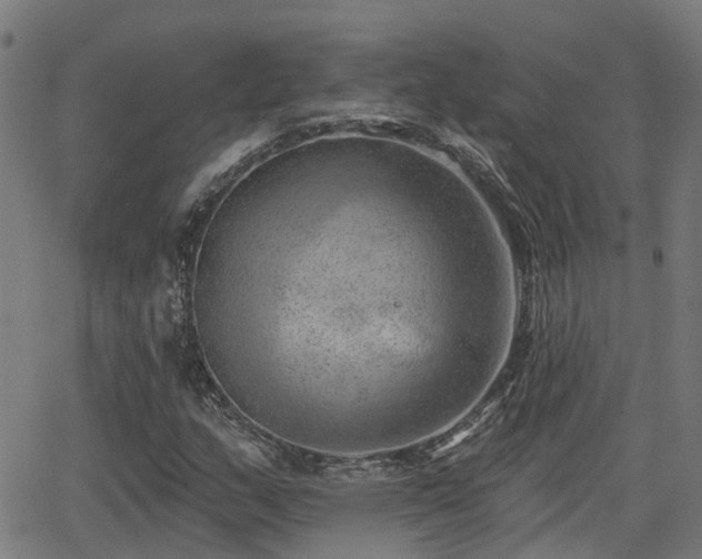 X0000062911159200601181212