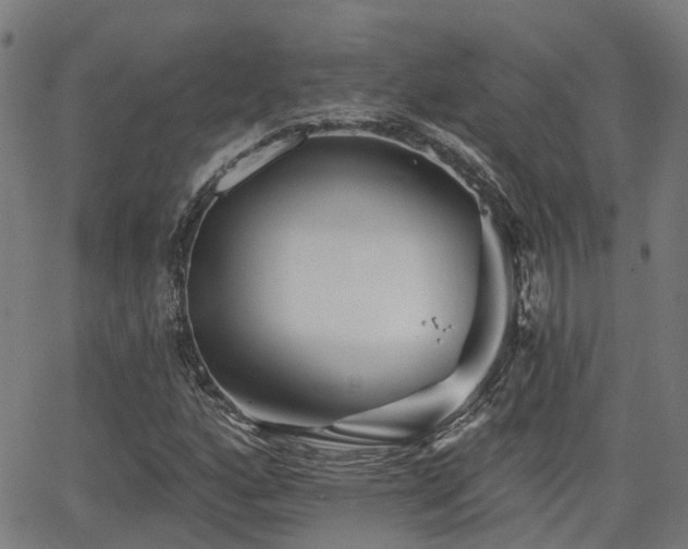 X0000062911160200601181212