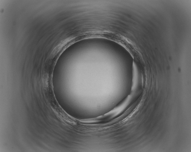 X0000062911161200601181212