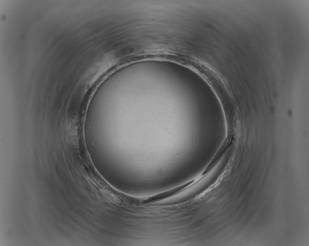 X0000062911162200601181212