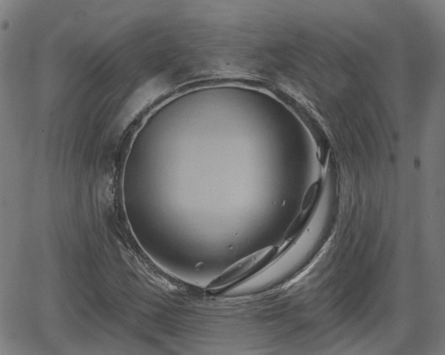 X0000062911163200601181212