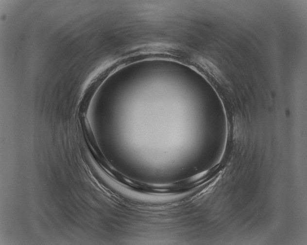 X0000062911164200601181212