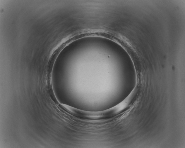 X0000062911165200601181212