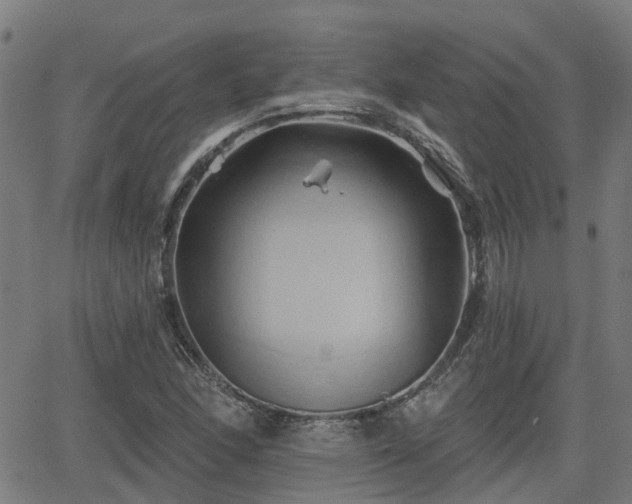 X0000062911166200601181212