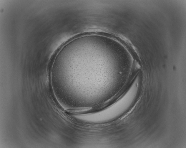 X0000062911167200601181212