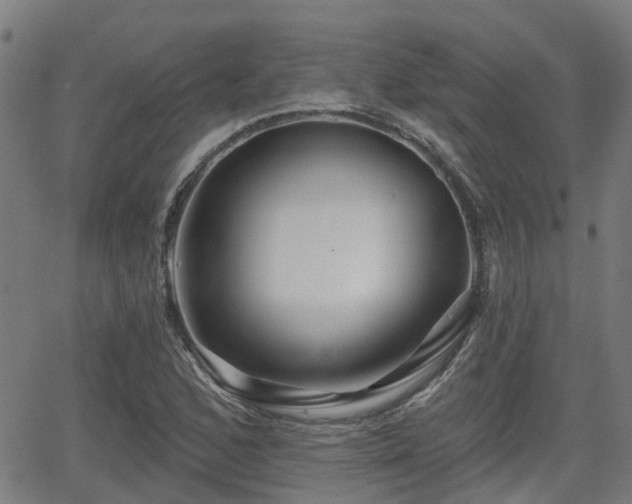 X0000062911168200601181212