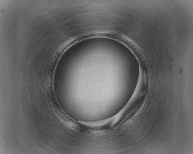 X0000062911169200601181212