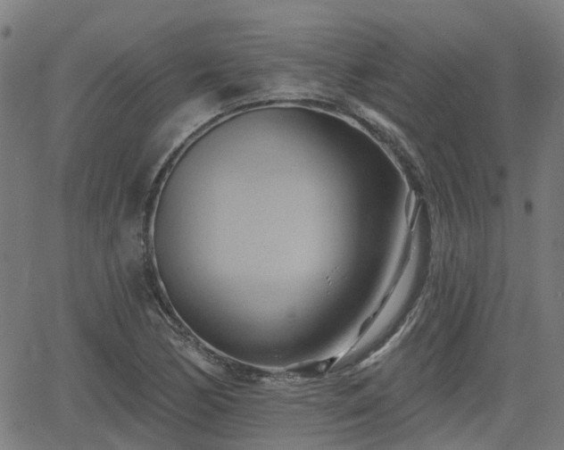 X0000062911170200601181212