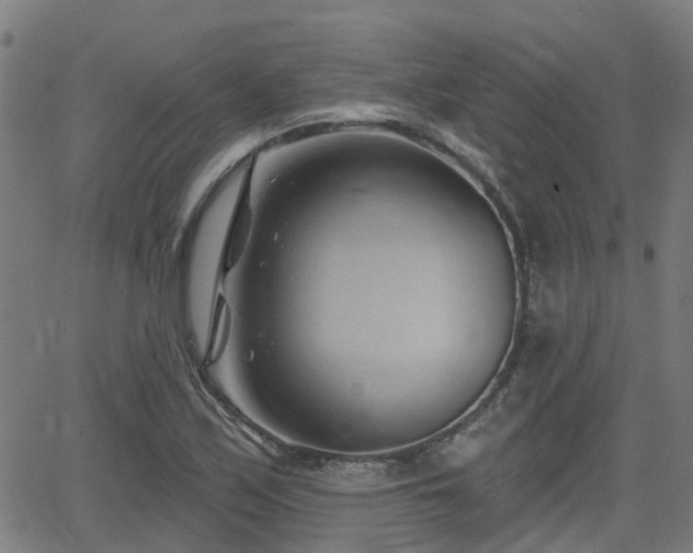 X0000062911171200601181212