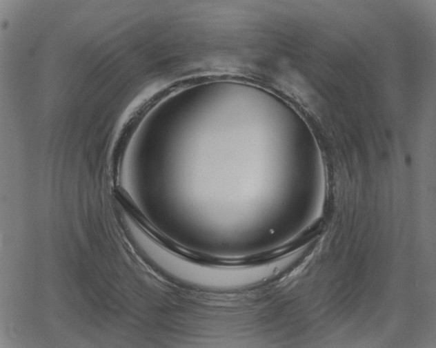 X0000062911172200601181212