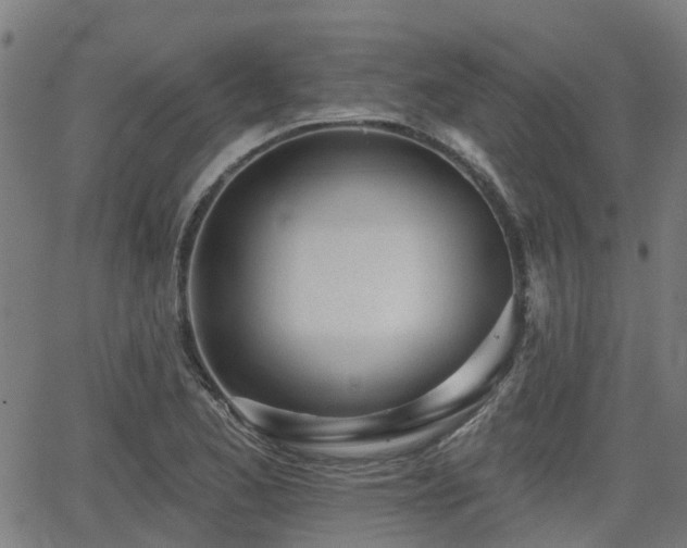 X0000062911173200601181212