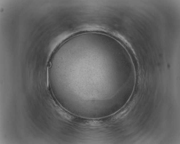 X0000062911175200601181212