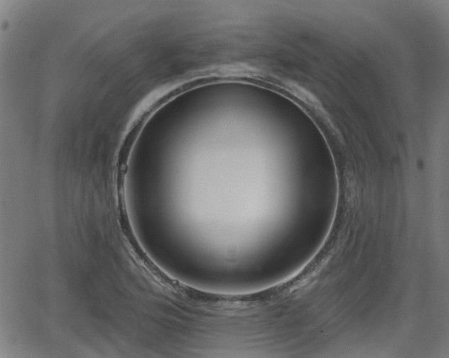 X0000062911176200601181212