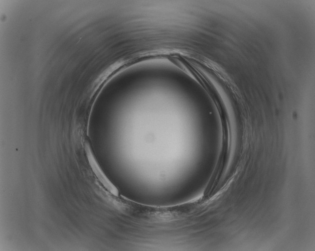 X0000062911177200601181212