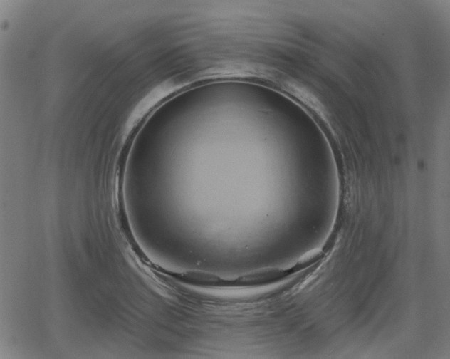 X0000062911179200601181212