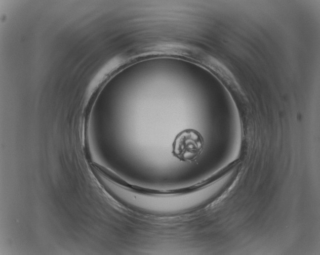 X0000062911180200601181212