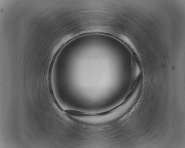 X0000062911181200601181212