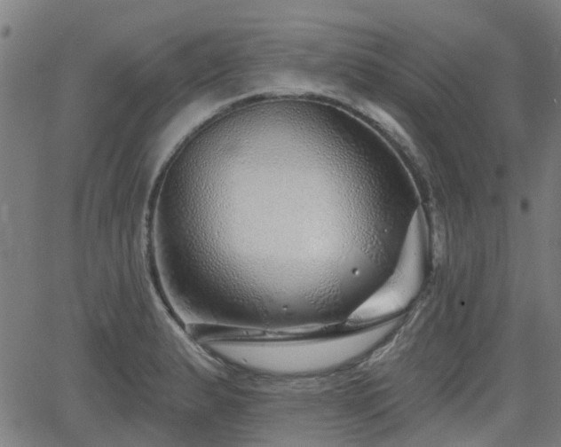 X0000062911183200601181212