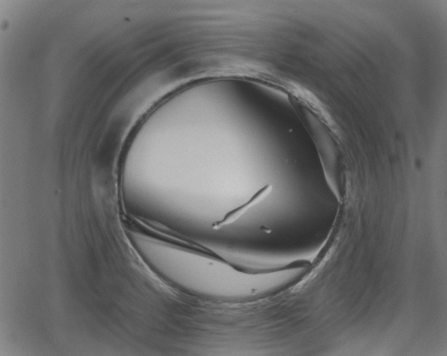 X0000062911184200601181212