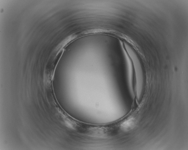 X0000062911185200601181212