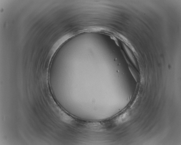 X0000062911186200601181211