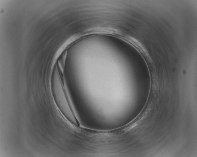 X0000062911188200601181211