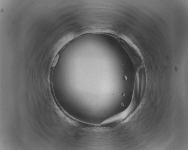 X0000062911189200601181211