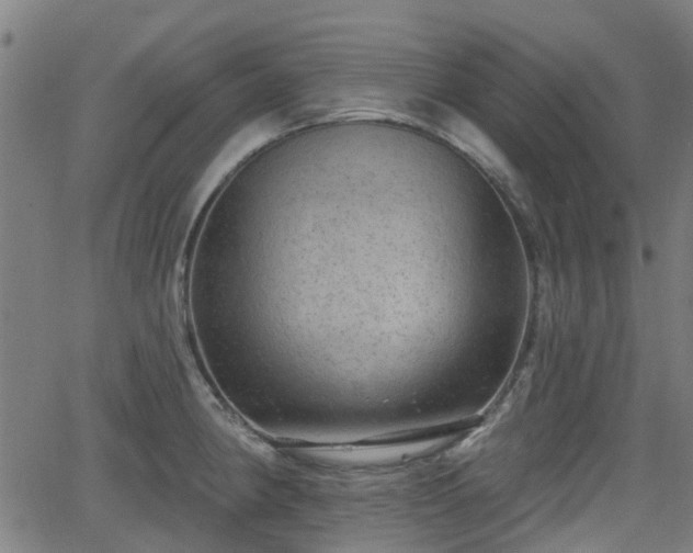 X0000062911190200601181211