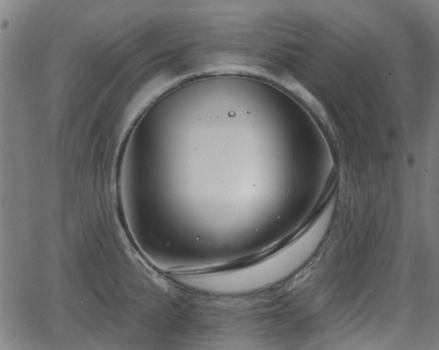 X0000062911191200601181211