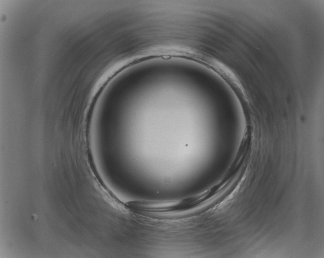 X0000062911192200601181211