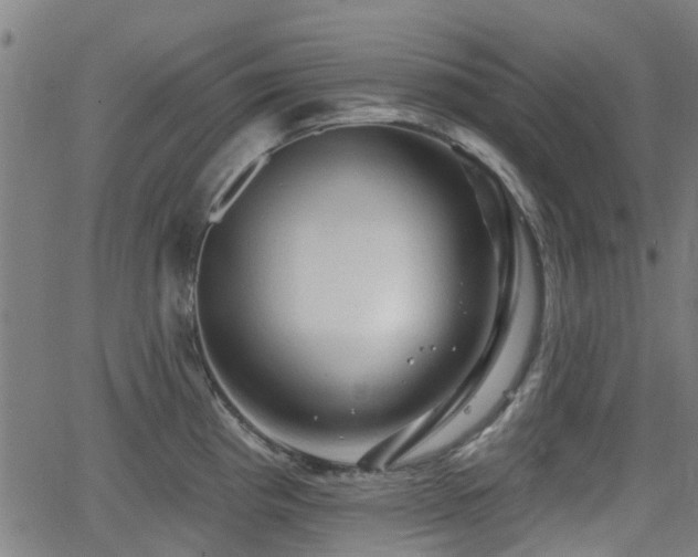 X0000062911193200601181211