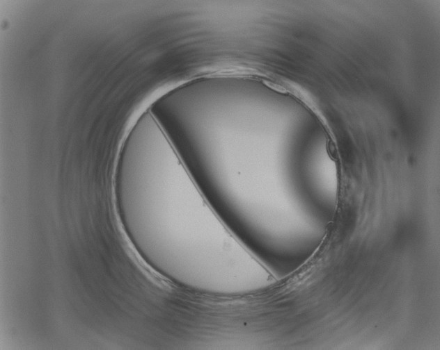 X0000062911195200601181211