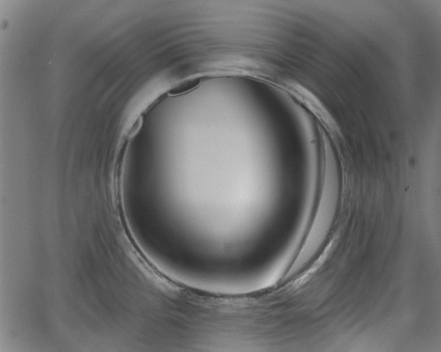 X0000062911196200601181211