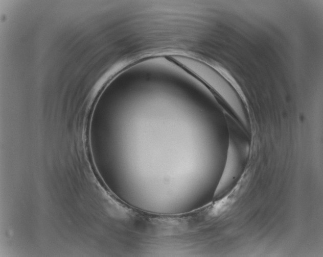 X0000062911197200601181211