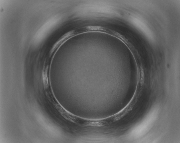 X0000062911198200601181211