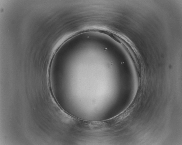 X0000062911199200601181211