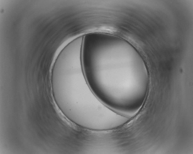 X0000062911200200601181211