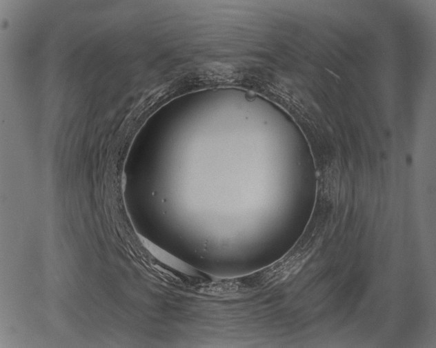 X0000062911201200601181210