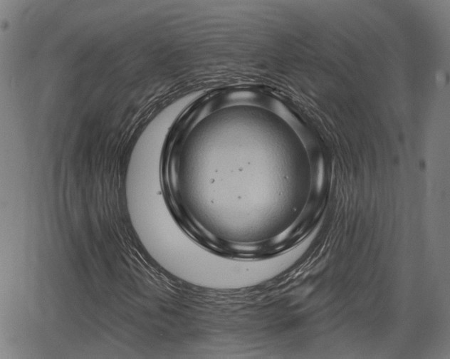 X0000062911202200601181211