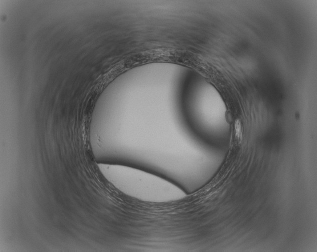 X0000062911203200601181211