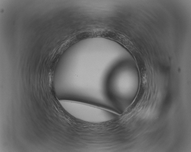 X0000062911204200601181211