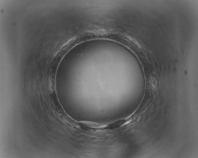 X0000062911205200601181211