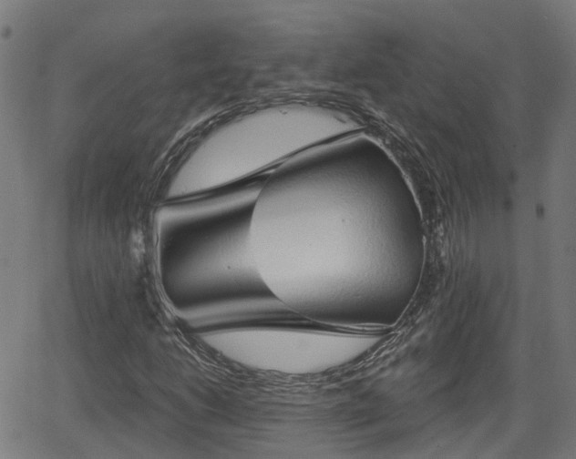 X0000062911206200601181211